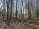 Wooded view with bare trees casting shadows on the ground at 1761 Reavesville Rd, Bowdon, GA 30108