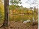 Pond view surrounded by colorful fall foliage at 545 Discovery Lake Dr # 409, Fayetteville, GA 30215
