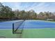 Well-maintained community tennis courts with blue and green surfaces at 204 Eleanor Ct, Stockbridge, GA 30281