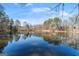 Scenic view of the serene lake surrounded by a forest of mature trees at 897 Winding Trl, Lawrenceville, GA 30046