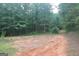 Exterior shot of the land and trees at 9075 Clark Rd, Fairburn, GA 30213