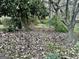 Shady backyard with mature trees, blooming flowers and lush landscaping creating a beautiful backyard escape at 398 Lockridge Ln, Lawrenceville, GA 30046