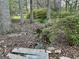 Backyard water feature, a small stream flowing through the woods and roots, adding natural beauty to the property at 398 Lockridge Ln, Lawrenceville, GA 30046