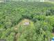 Aerial view of a home nestled within a dense forest at 133 Harold Dr, Mcdonough, GA 30253