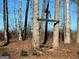 Backyard view of a wooded area with a tree swing at 275 Nutt Dr, Locust Grove, GA 30248