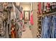 Walk-in closet with hanging clothes, shelving, drawers, and carpet flooring at 221 Collierstown Way, Peachtree City, GA 30269