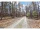 A long, gravel driveway winds through a lush, wooded landscape at 179 Green Valley Rd, Fayetteville, GA 30214