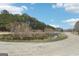 Scenic view of the pond with surrounding trees and a dirt road, offering a tranquil and natural setting at 179 Green Valley Rd, Fayetteville, GA 30214