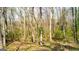 Forested area with lush trees and ground cover offering natural privacy and a scenic view at 136 Glynn Addy Dr, Stockbridge, GA 30281