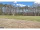 Expansive backyard featuring a level grassy area and mature trees, providing privacy and a park-like setting at 196 Old Highway 92, Fayetteville, GA 30215
