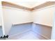 Walk-in closet with carpet and shelves at 260 Brookwood Ln, Fayetteville, GA 30215