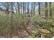Beautiful backyard featuring a stone bird bath, lush greenery and mature trees providing shade and privacy at 300 The Enclave, Peachtree City, GA 30269