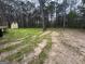 Large backyard with mature trees and a shed, offering plenty of room for outdoor activities at 127 Brookwood Estates Trl, Stockbridge, GA 30281