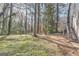 Backyard space featuring a large yard with an abundance of trees at 6192 Holiday Blvd, Forest Park, GA 30297
