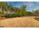 A well maintained backyard with healthy lawn, complemented by mature trees and a dark metal fence at 305 Roundwood Way, Peachtree City, GA 30269