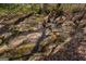 Backyard creek flowing serenely through the landscape, adding natural beauty and tranquility to the property at 1491 Hada Ln, Lawrenceville, GA 30044