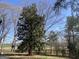 A large tree with a satellite dish in the backyard at 327 Old Muse Rd, Carrollton, GA 30116