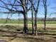A tire swing hanging from a tree in the backyard at 327 Old Muse Rd, Carrollton, GA 30116