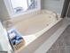 Spa-like bathroom featuring an oval soaking tub under a window with a lake view at 2304 Larchmont Ct, Villa Rica, GA 30180