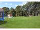 Large backyard with lush green grass, mature trees, and a trampoline and playground set in view at 131 Pecan Lake Dr, Sharpsburg, GA 30277