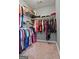 Walk-in closet features ample storage space with shelving and hanging rods, ready for organization at 131 Pecan Lake Dr, Sharpsburg, GA 30277