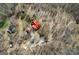 Expansive aerial view of the property, showcasing the home, outbuildings, and surrounding wooded landscape at 680 Milligan Creek Rd, Roopville, GA 30170