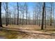 Expansive wooded property with mature trees providing shade and privacy at 680 Milligan Creek Rd, Roopville, GA 30170