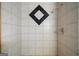 Tiled shower area enhanced by a decorative diamond design, adding a touch of sophistication at 680 Milligan Creek Rd, Roopville, GA 30170