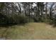 A large, grassy backyard with mature trees creating a serene backdrop at 4242 Timber Valley Ct, Decatur, GA 30032