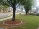 Street view of the lawn and trees in this quiet residential neighborhood at 711 Lily Glen Ln, Stockbridge, GA 30281