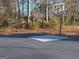 Private basketball court surrounded by a natural wooded area at 1202 Coan Dr, Locust Grove, GA 30248