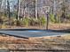 Private basketball court surrounded by a natural wooded area at 1202 Coan Dr, Locust Grove, GA 30248