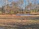 Private basketball court surrounded by a natural wooded area at 1202 Coan Dr, Locust Grove, GA 30248