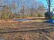 Private basketball court surrounded by a natural wooded area at 1202 Coan Dr, Locust Grove, GA 30248