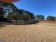 Expansive backyard, great for pets and children, with mature trees providing ample shade and beauty at 132 Westmont Way, Tyrone, GA 30290