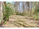 Spacious backyard with mature trees, providing a private and peaceful setting at 110 Sycamore Bnd, Fayetteville, GA 30214