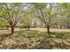 Expansive backyard featuring mature trees and a lush, green lawn at 110 Sycamore Bnd, Fayetteville, GA 30214