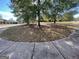 Well-manicured front yard featuring mature trees and lush greenery at 239 Overland Trl, Mcdonough, GA 30252