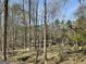 A house barely visible through the trees at 4389 & 4381 Campbell Rd, Snellville, GA 30039