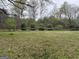 Open lawn space with lush greenery and natural boundary, providing ample space for recreation and landscaping at 4389 & 4381 Campbell Rd, Snellville, GA 30039