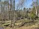 Scenic property view through bare trees showing home exterior and natural landscape at 4389 & 4381 Campbell Rd, Snellville, GA 30039