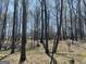 View of the wooded lot with mature trees and natural landscape, offering privacy and a serene environment at 4389 & 4381 Campbell Rd, Snellville, GA 30039