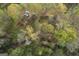 Scenic aerial view of lush trees surrounding a stream, creating a tranquil and private natural landscape at 237 Summerford Pl, Stockbridge, GA 30281