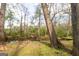 A beautiful creek view, with clear water flowing through the trees at 237 Summerford Pl, Stockbridge, GA 30281