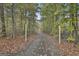 Long driveway leading through a wooded area, providing privacy and seclusion for the property at 3530 Highway 81 W, Hampton, GA 30228
