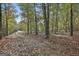 A lush treed lot with fallen leaves offers privacy at 3530 Highway 81 W, Hampton, GA 30228