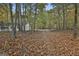 Secluded home surrounded by a beautiful wooded landscape and fall foliage at 3530 Highway 81 W, Hampton, GA 30228