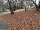 Street view of a front yard covered in leaves, located in a quiet neighborhood at 191 Charles Cox Dr, Canton, GA 30115