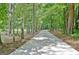 Long concrete driveway winds through a tranquil forest, lined with tall trees and peaceful scenery at 129 Old Norton Rd, Fayetteville, GA 30215