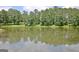 Peaceful pond surrounded by lush trees at 129 Old Norton Rd, Fayetteville, GA 30215